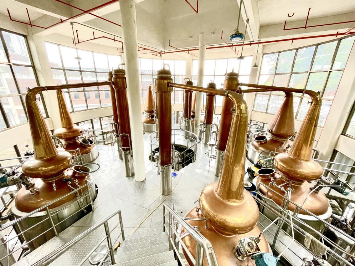 平和大溪 革命精神照亮老區“振興路”，酒香四溢譜新篇